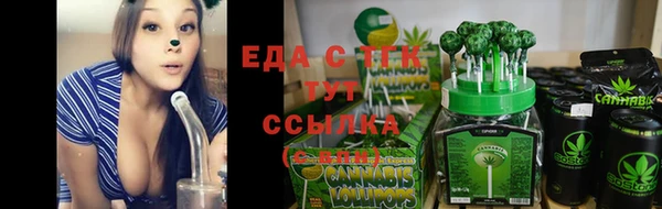 прущие грибы Алзамай