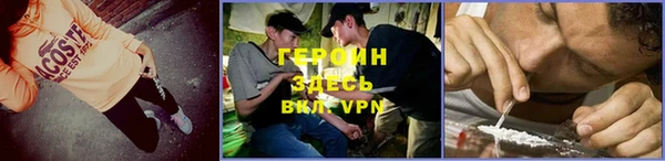 прущие грибы Алзамай