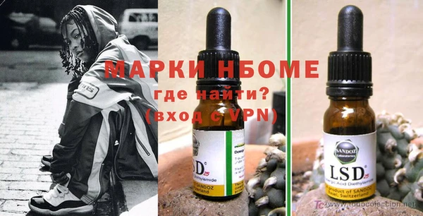 прущие грибы Алзамай