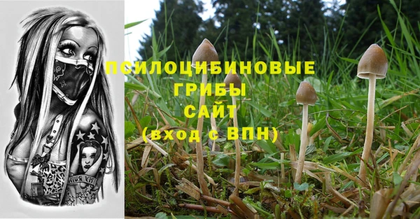 мет Алексеевка