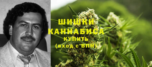 прущие грибы Алзамай